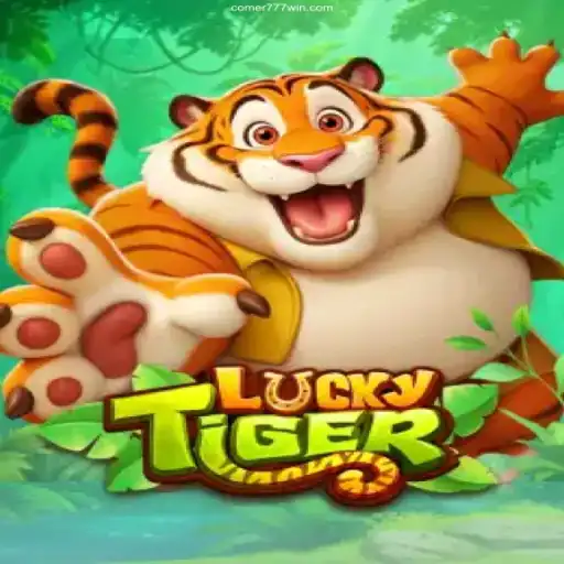 Discovering the Thrills of LuckyTiger: An Unmatched Gaming Experience